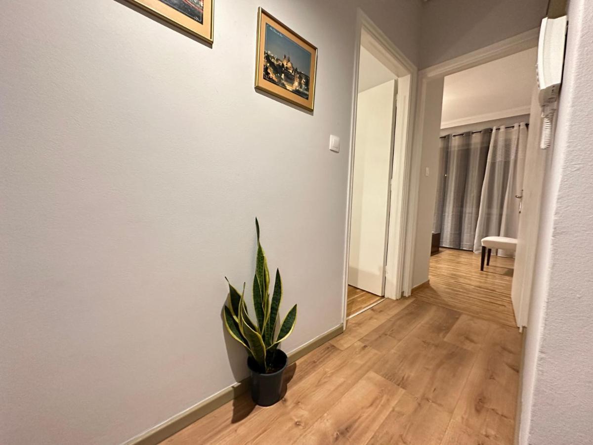אתונה Ano Patisia Cosy Apartment II מראה חיצוני תמונה
